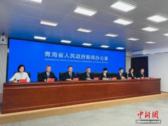 青海：医保政务服务线上可办率超95%